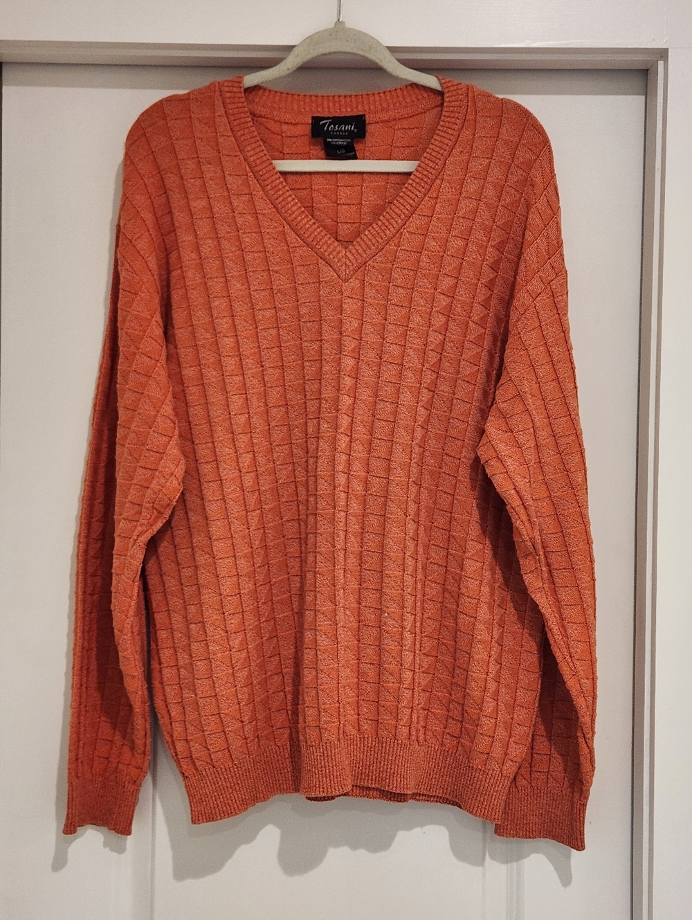 Tosani Men's Burnt Orange V-Neck Knit Sweater